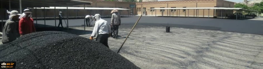 عملیات آسفالت محوطه پردیس های دانشگاه فرهنگیان استان آذربایجان شرقی 7