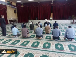 همبستگی جنبش استادی با جنبش اجتماعی نفس در آمریکا 5