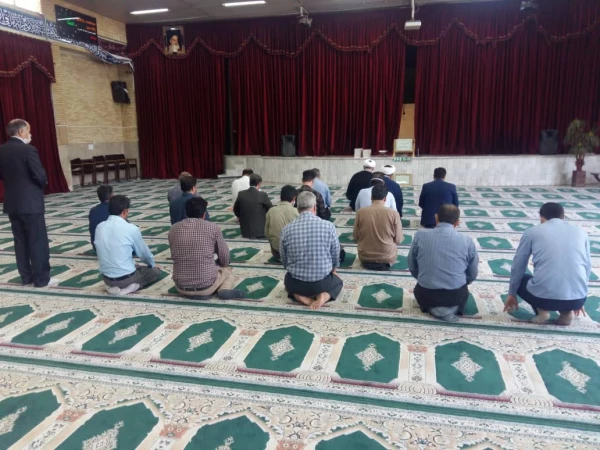 همبستگی جنبش استادی با جنبش اجتماعی نفس در آمریکا 5