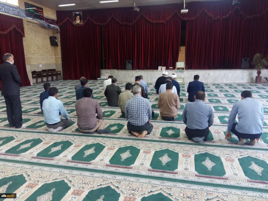 همبستگی جنبش استادی با جنبش اجتماعی نفس در آمریکا 5