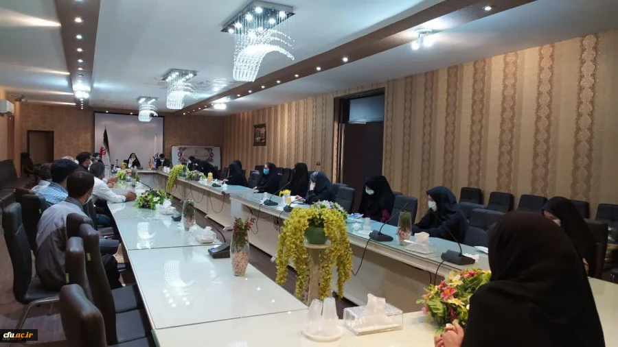 همبستگی جنبش استادی با جنبش اجتماعی نفس در آمریکا 2