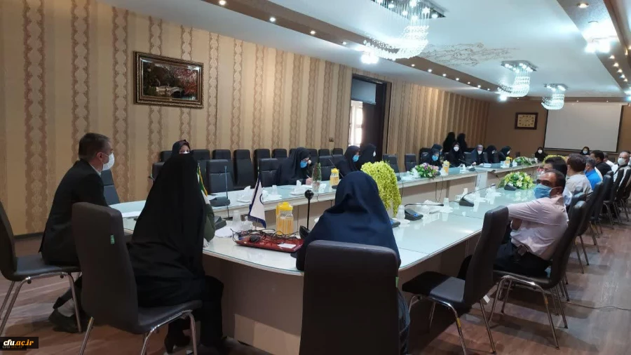 همبستگی جنبش استادی با جنبش اجتماعی نفس در آمریکا 3