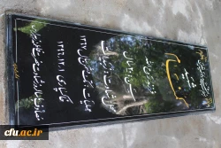 پردیس استان لرستان  13