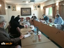 جلسه هماهنگی برگزاری نخستین جشنواره ملی آموزش زبان عربی به شیوه مجازی در دانشگاه فرهنگیان خراسان رضوی 2