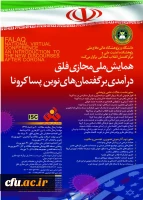 همایش ملی مجازی فلق برگزار می شود 2