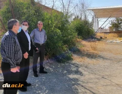 بازدید دکتر علیرضا نعمتی رئیس امور استان ها و مناطق سازمان برنامه و بودجه کشور از دانشگاه فرهنگیان استان ایلام