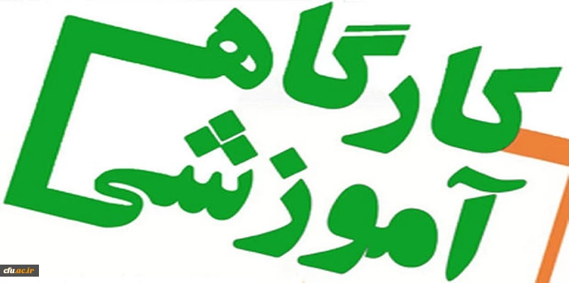 برگزاری کارگاه آموزشی فراهم ­آوری و مجموعه ­سازی منابع دیجیتال برای کتابداران دانشگاه 2