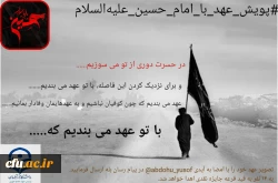 نمونه فعالیت تهران