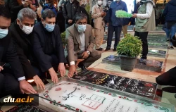 استان کرمان 4