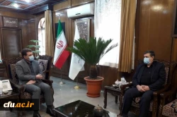 استان کرمان 8