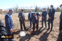 کاشت نهال به مناسبت هفته منابع طبیعی در دانشگاه فرهنگیان استان مرکزی 4