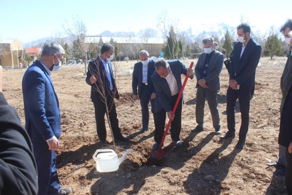 کاشت نهال به مناسبت هفته منابع طبیعی در دانشگاه فرهنگیان استان مرکزی 4