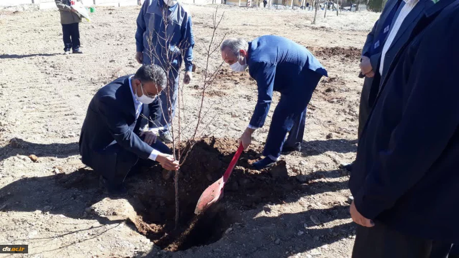 کاشت نهال به مناسبت هفته منابع طبیعی در دانشگاه فرهنگیان استان مرکزی 7