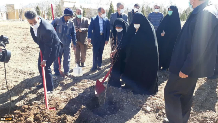 کاشت نهال به مناسبت هفته منابع طبیعی در دانشگاه فرهنگیان استان مرکزی 8