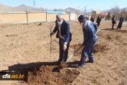 کاشت نهال به مناسبت هفته منابع طبیعی در دانشگاه فرهنگیان استان مرکزی 6
