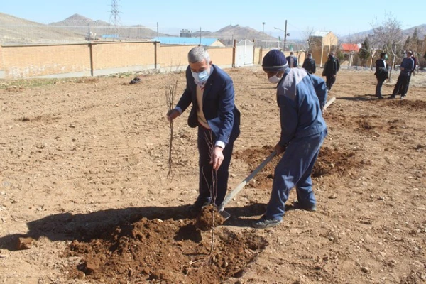 کاشت نهال به مناسبت هفته منابع طبیعی در دانشگاه فرهنگیان استان مرکزی 6