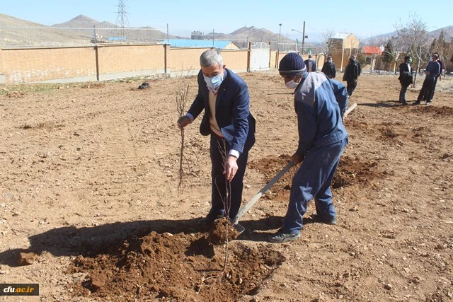 کاشت نهال به مناسبت هفته منابع طبیعی در دانشگاه فرهنگیان استان مرکزی 6