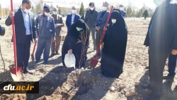 کاشت نهال به مناسبت هفته منابع طبیعی در دانشگاه فرهنگیان استان مرکزی 9