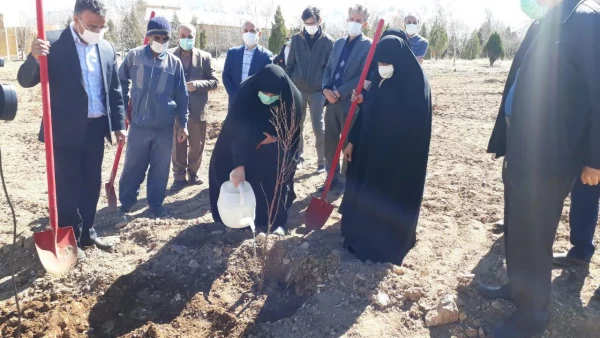 کاشت نهال به مناسبت هفته منابع طبیعی در دانشگاه فرهنگیان استان مرکزی 9