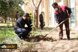 کاشت نهال همزمان با روز درختکاری و فرارسیدن هفته منابع طبیعی
 7