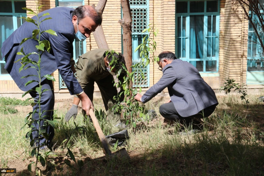 کاشت نهال همزمان با روز درختکاری و فرارسیدن هفته منابع طبیعی
 8
