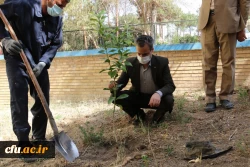 کاشت نهال همزمان با روز درختکاری و فرارسیدن هفته منابع طبیعی
 3