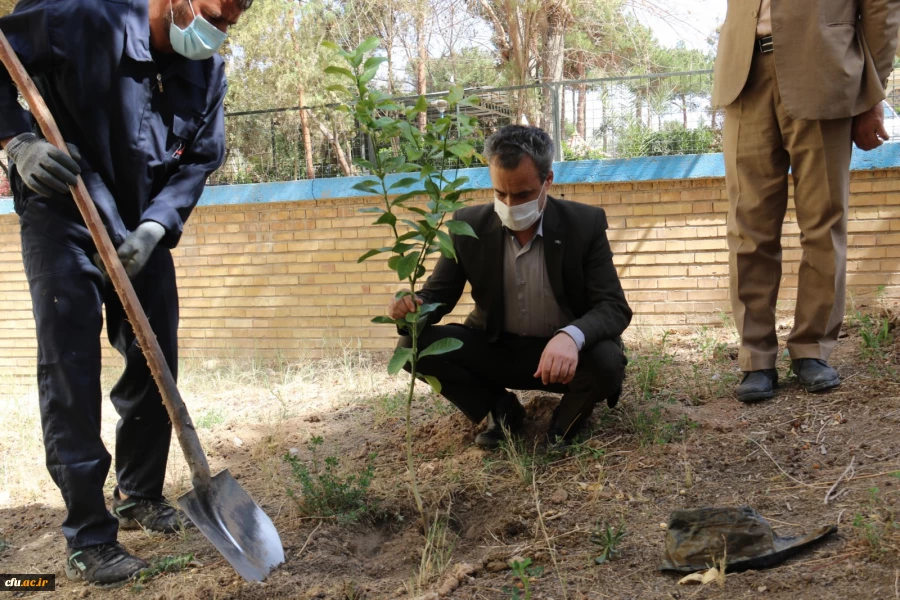 کاشت نهال همزمان با روز درختکاری و فرارسیدن هفته منابع طبیعی
 3