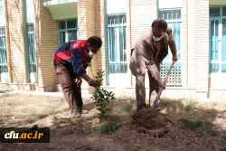 کاشت نهال همزمان با روز درختکاری و فرارسیدن هفته منابع طبیعی
 5