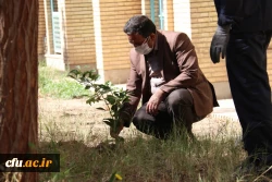 کاشت نهال همزمان با روز درختکاری و فرارسیدن هفته منابع طبیعی
 6