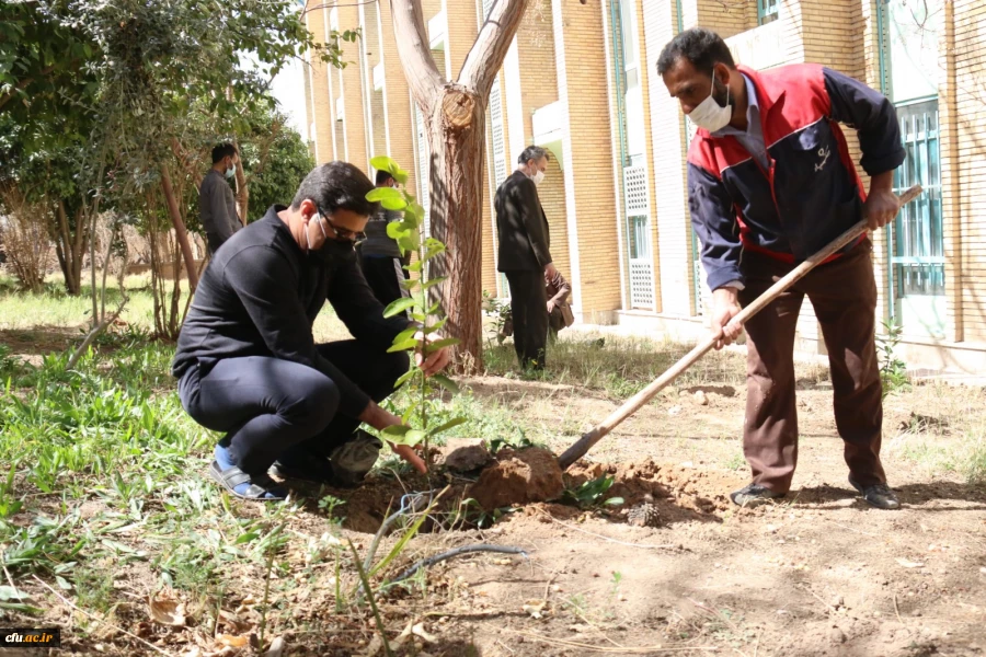 کاشت نهال همزمان با روز درختکاری و فرارسیدن هفته منابع طبیعی
 7
