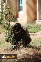 کاشت نهال همزمان با روز درختکاری و فرارسیدن هفته منابع طبیعی
 10