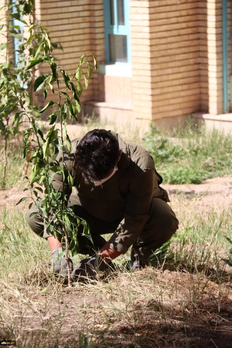 کاشت نهال همزمان با روز درختکاری و فرارسیدن هفته منابع طبیعی
 10