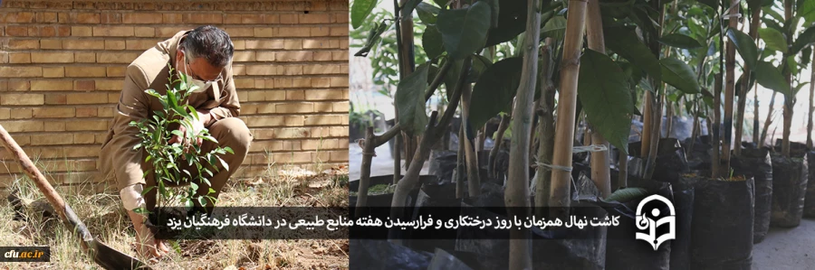 کاشت نهال همزمان با روز درختکاری و فرارسیدن هفته منابع طبیعی
 2