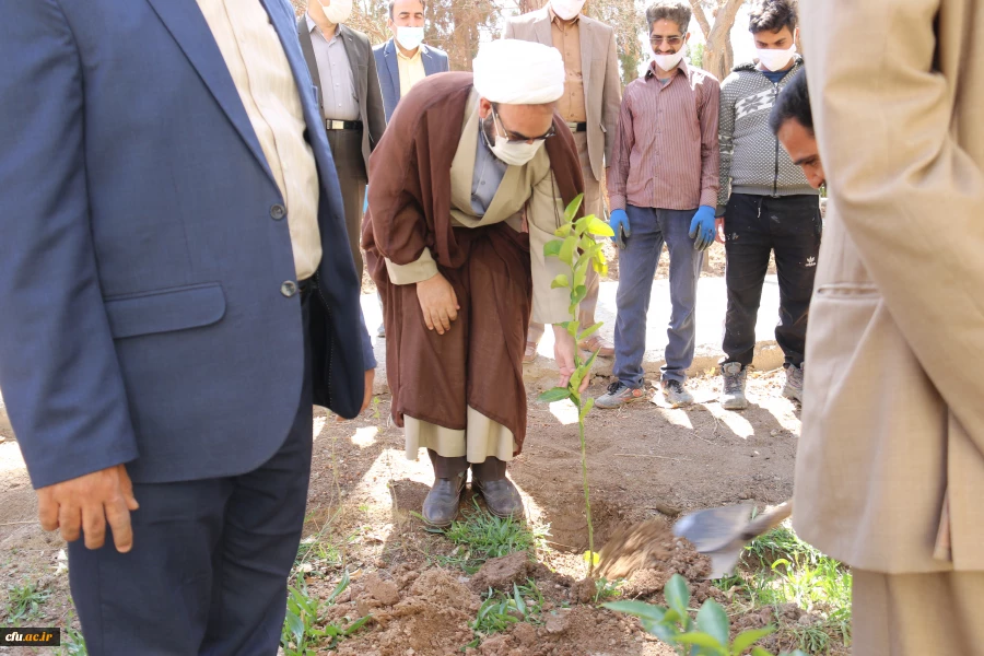 کاشت نهال همزمان با روز درختکاری و فرارسیدن هفته منابع طبیعی
 2