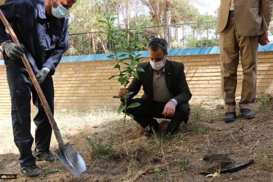 کاشت نهال همزمان با روز درختکاری و فرارسیدن هفته منابع طبیعی
 3