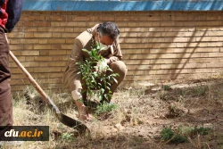 کاشت نهال همزمان با روز درختکاری و فرارسیدن هفته منابع طبیعی
 4