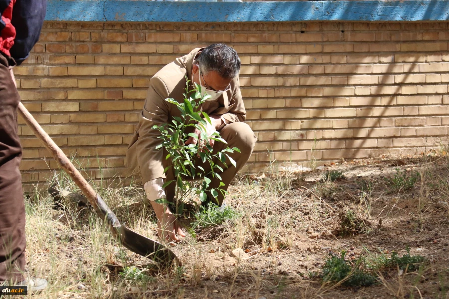کاشت نهال همزمان با روز درختکاری و فرارسیدن هفته منابع طبیعی
 4