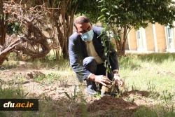 کاشت نهال همزمان با روز درختکاری و فرارسیدن هفته منابع طبیعی
 7