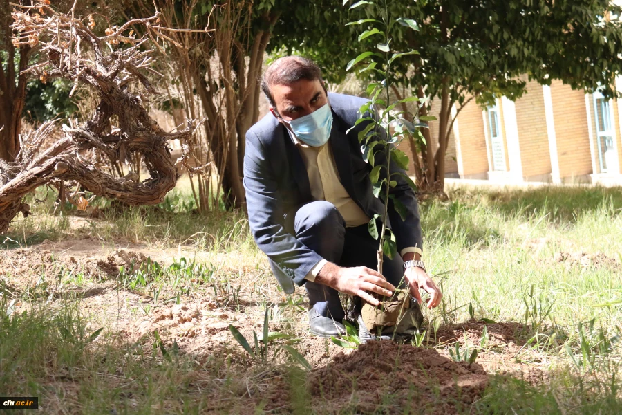 کاشت نهال همزمان با روز درختکاری و فرارسیدن هفته منابع طبیعی
 7