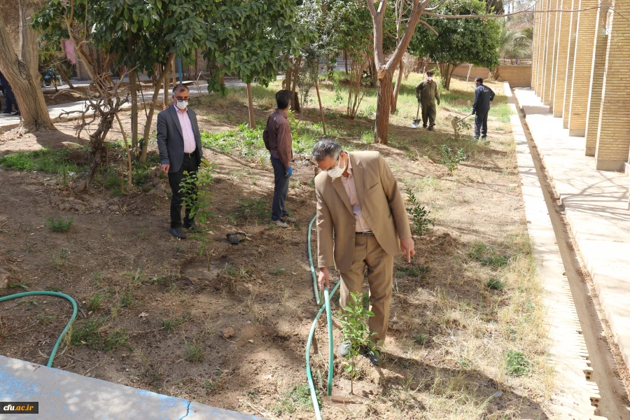 کاشت نهال همزمان با روز درختکاری و فرارسیدن هفته منابع طبیعی
 8