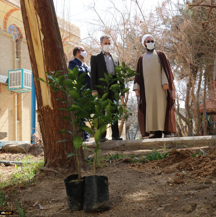 کاشت نهال همزمان با روز درختکاری و فرارسیدن هفته منابع طبیعی
 9