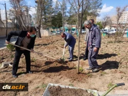  مراسم روز درختکاری در دانشگاه فرهنگیان کرمانشاه برگزارشد. 3