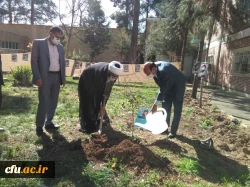 33 اصله درخت در آستانه روز ۲۲ اسفند روز بزرگداشت شهدا در پردیس ها و مراکز دانشگاه فرهنگیان لرستان به یاد 33 شهید دانشجو معلم این دانشگاه غرس شد.  4