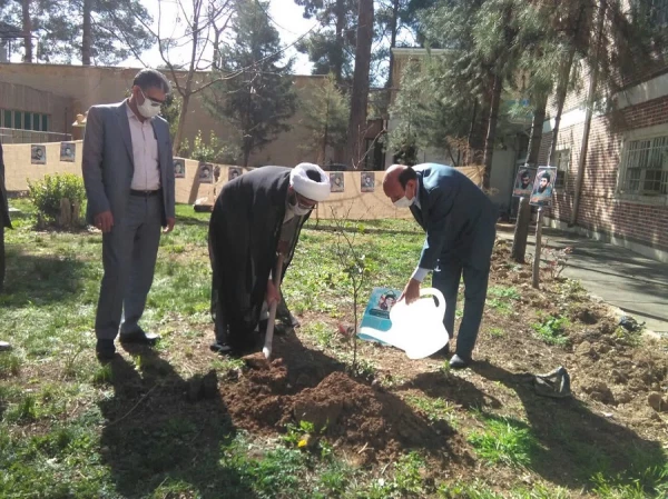 33 اصله درخت در آستانه روز ۲۲ اسفند روز بزرگداشت شهدا در پردیس ها و مراکز دانشگاه فرهنگیان لرستان به یاد 33 شهید دانشجو معلم این دانشگاه غرس شد.  4