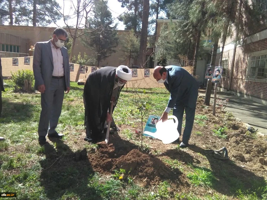 33 اصله درخت در آستانه روز ۲۲ اسفند روز بزرگداشت شهدا در پردیس ها و مراکز دانشگاه فرهنگیان لرستان به یاد 33 شهید دانشجو معلم این دانشگاه غرس شد.  4