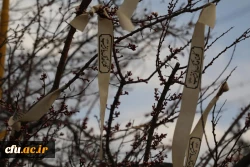 آیین تشییع و تدفین پیکر مطهر شهید گمنام