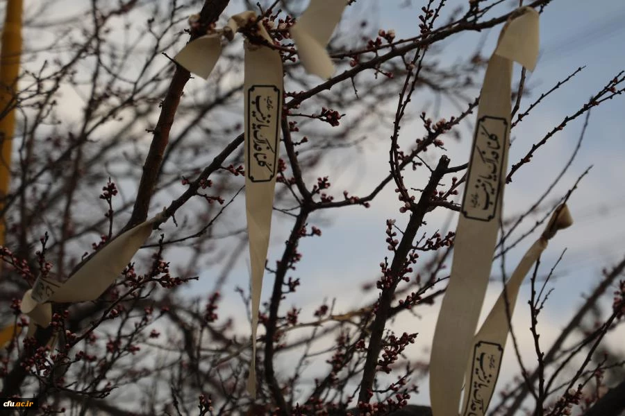 آیین تشییع و تدفین پیکر مطهر شهید گمنام