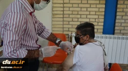 واکسیناسیون اساتید و همکاران دانشگاه فرهنگیان کردستان 15