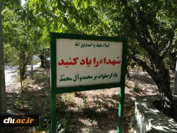 کوهپیمایی