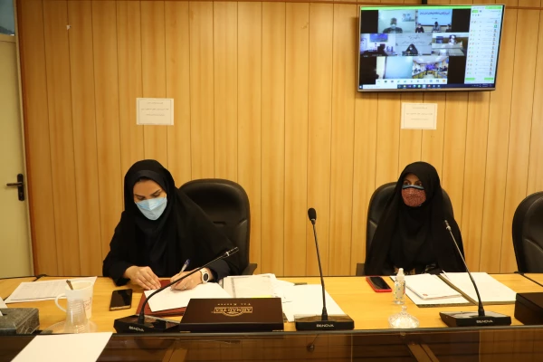 برگزاری دوره بدو استخدام اعضای هیات علمی پیمانی جدید دانشگاه فرهنگیان در سال 1400

 11